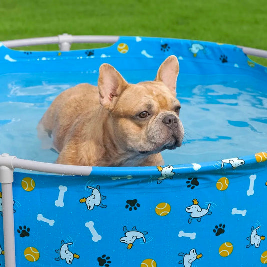 Bones Pet Play Pool