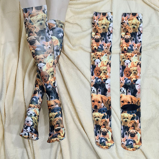 Dogs High Socks