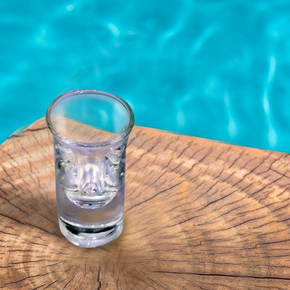 Glass Shots 30ml (6 Shots)