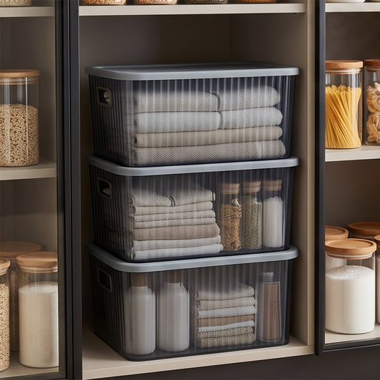 Plexi Big Storage Box with Lid (Available in 3 colors)
