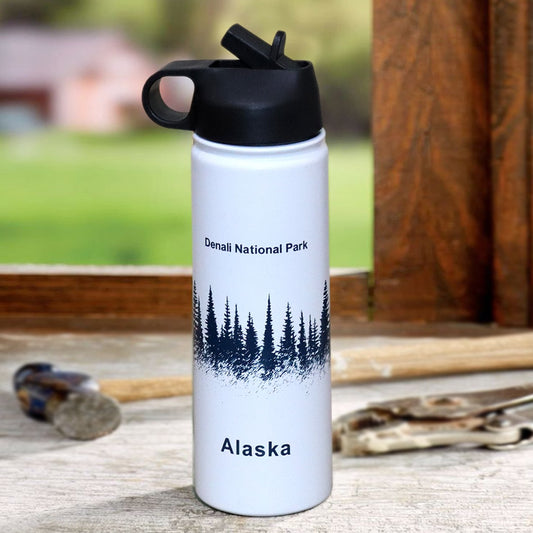 Alaska Stainless Steel Bottle with Straw 700ml