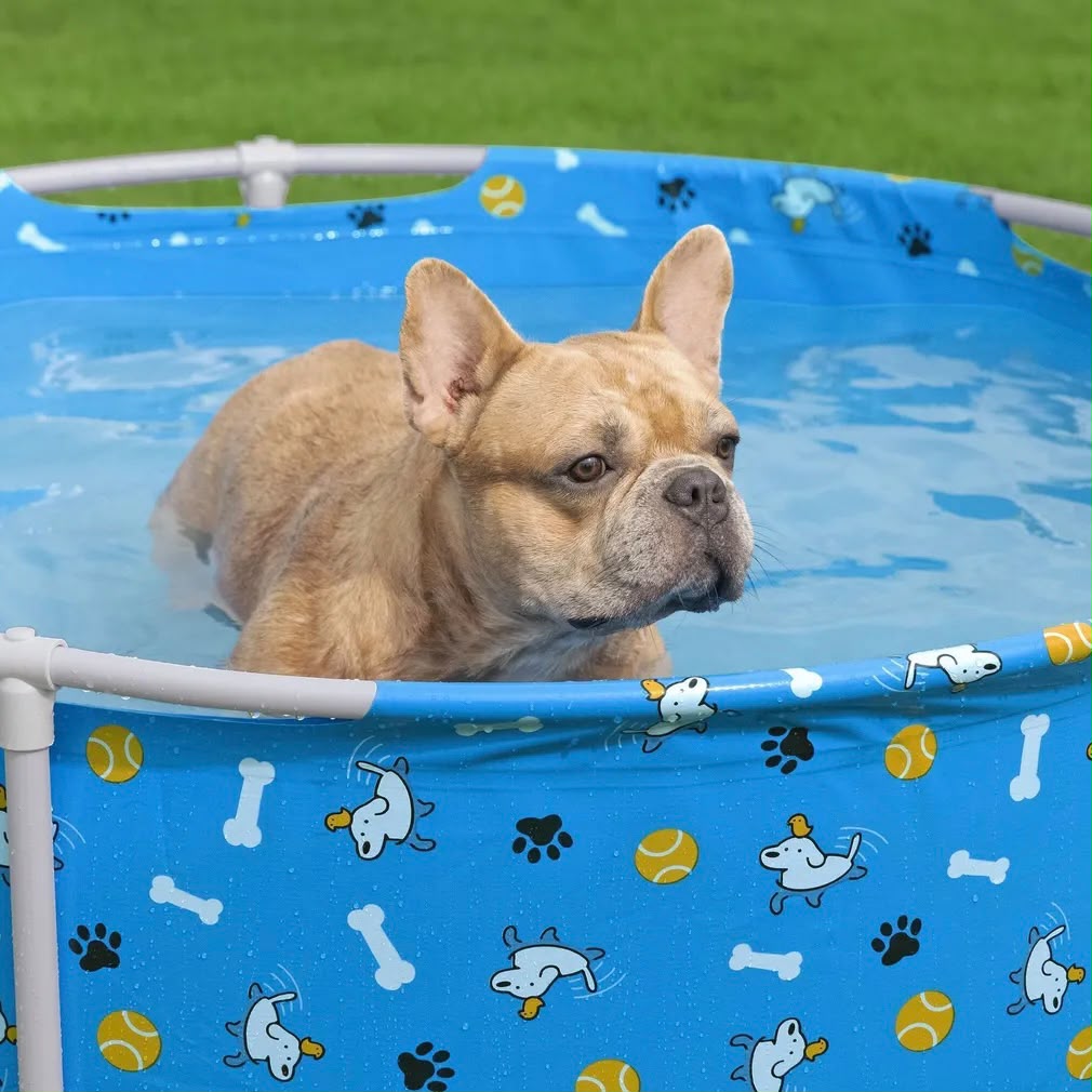 Bones Pet Play Pool