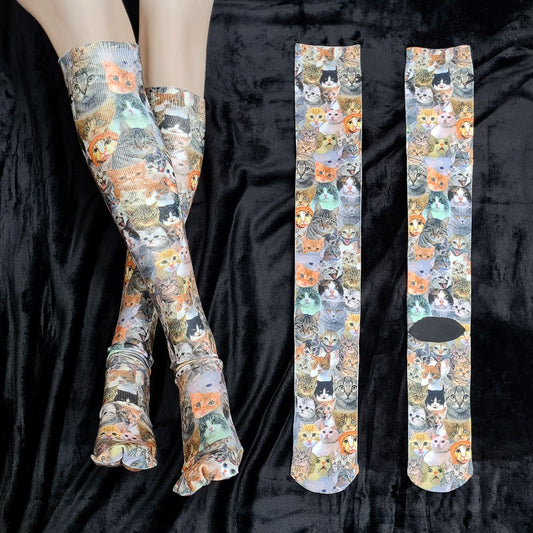 Cats High Socks