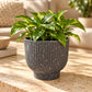 Plastic Plant Pots (Available in 5 colors)