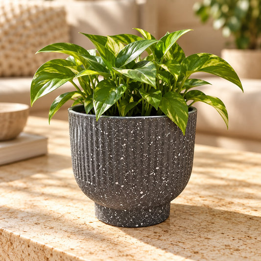 Plastic Plant Pots (Available in 5 colors)