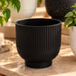 Plastic Big Plant Pots (Available in 5 colors)