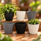 Plastic Plant Pots (Available in 6 colors)