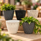 Plastic Big Plant Pots (Available in 5 colors)