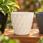 Plastic Plant Pots (Available in 6 colors)