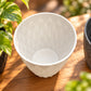 Plastic Plant Pots (Available in 6 colors)