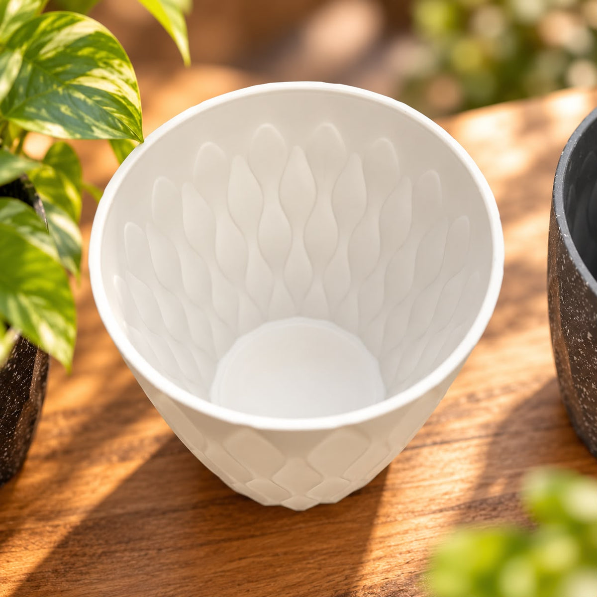 Plastic Plant Pots (Available in 6 colors)