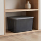 Plexi Big Storage Box with Lid (Available in 3 colors)