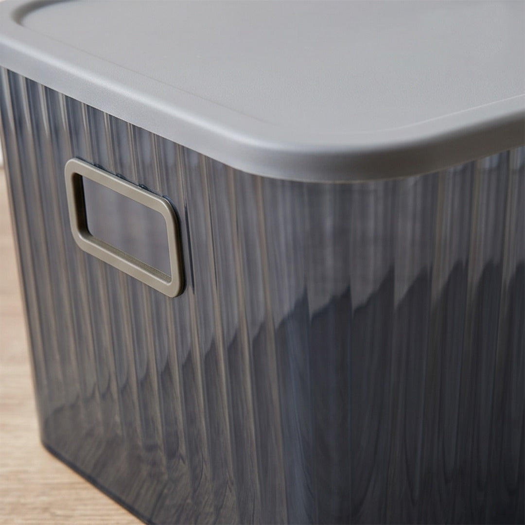 Plexi Big Storage Box with Lid (Available in 3 colors)