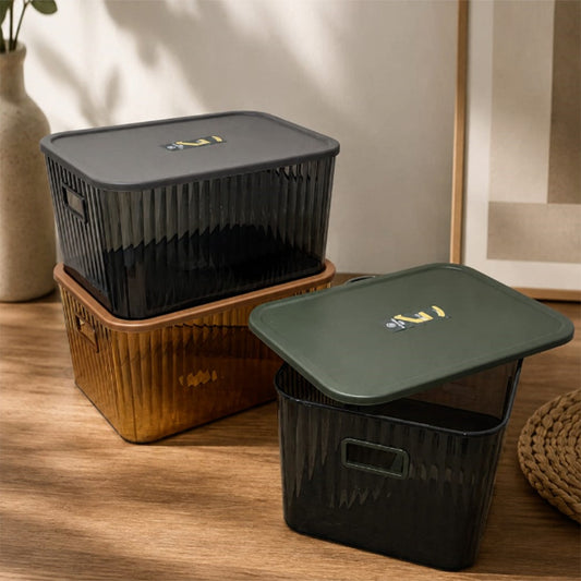 Plexi Big Storage Box with Lid (Available in 3 colors)