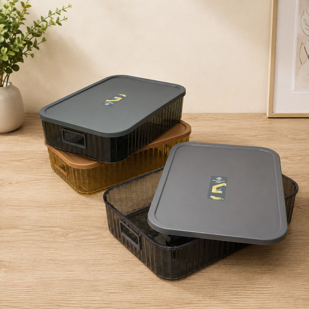 Plexi Storage Box with Lid (Available in 3 colors)
