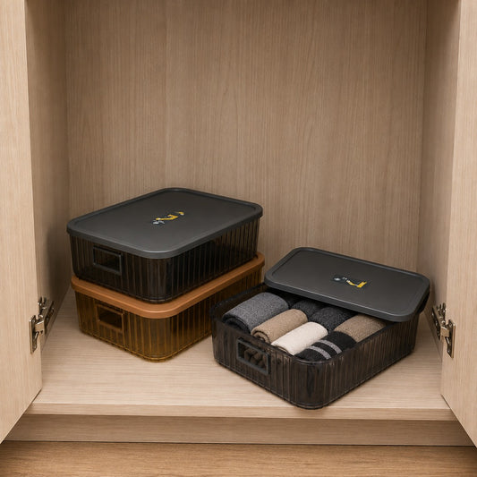 Plexi Storage Box with Lid (Available in 3 colors)