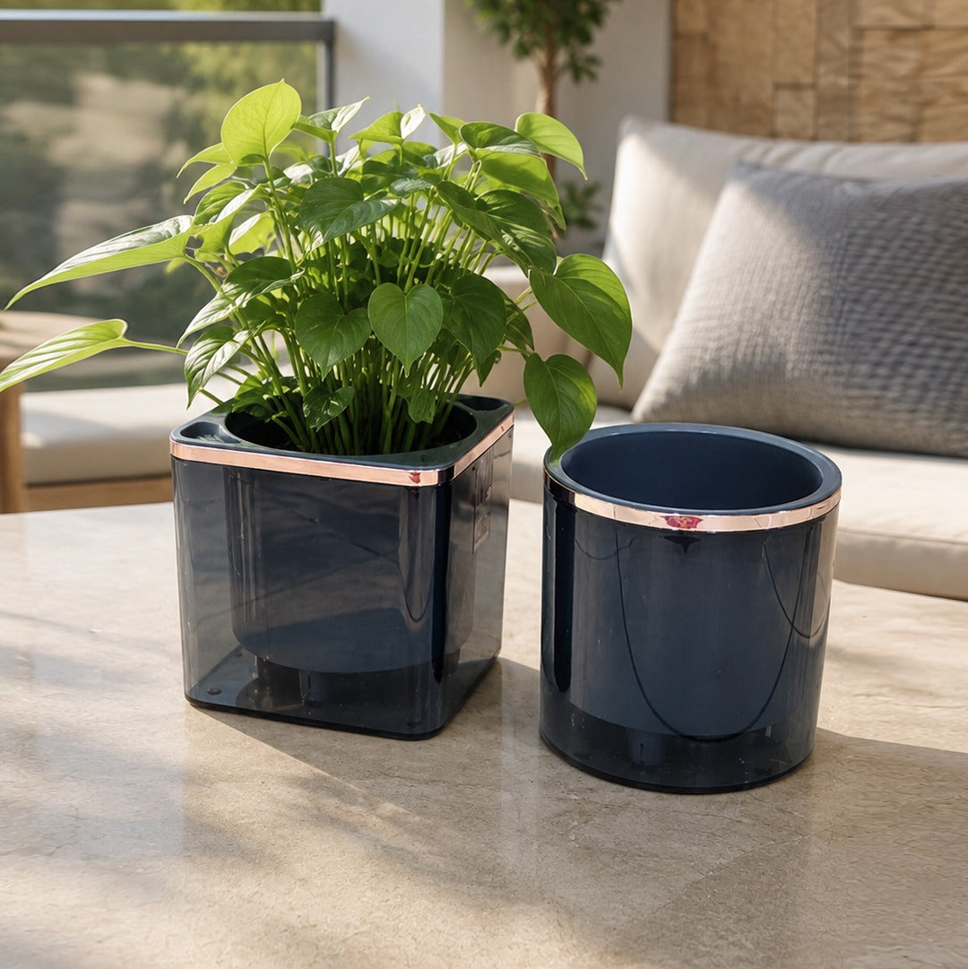 Plexi Automatic Water Absorption Plant Pot (Available in 4 colors)