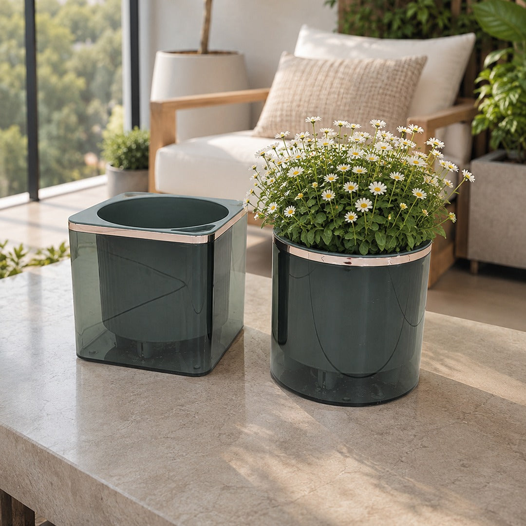 Plexi Automatic Water Absorption Plant Pot (Available in 4 colors)