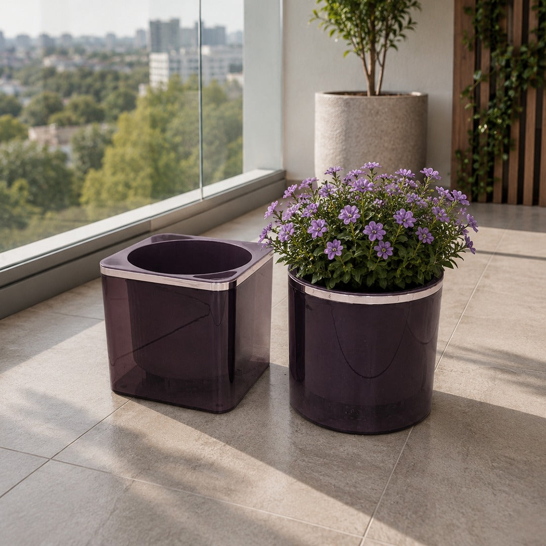 Plexi Automatic Water Absorption Plant Pot (Available in 4 colors)