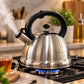 Whistling Stainless Steel Tea Kettle 2.6L